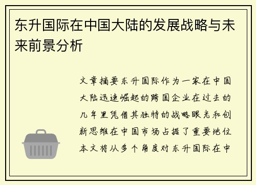 东升国际在中国大陆的发展战略与未来前景分析